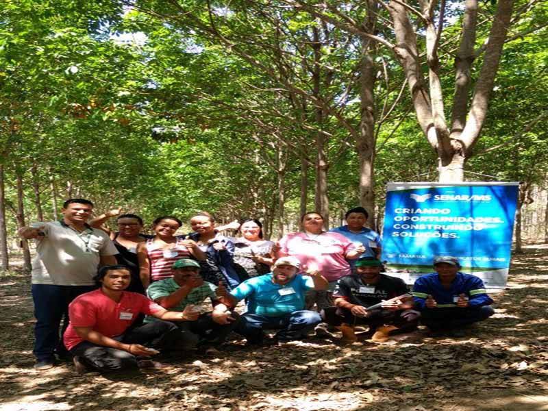 curso sangria tam