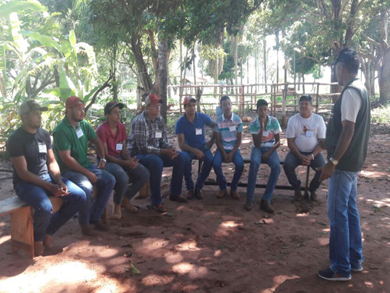Curso Adestramento de Equinos