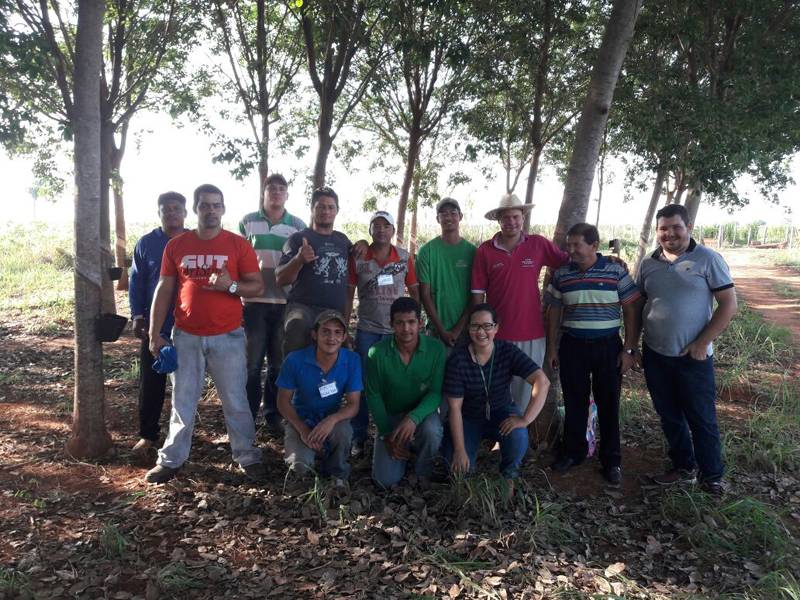 curso sangira de seringueiras 28